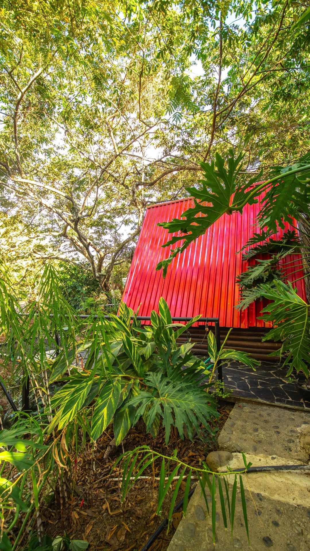 Glampings en Tuluá para una escapada en pareja
