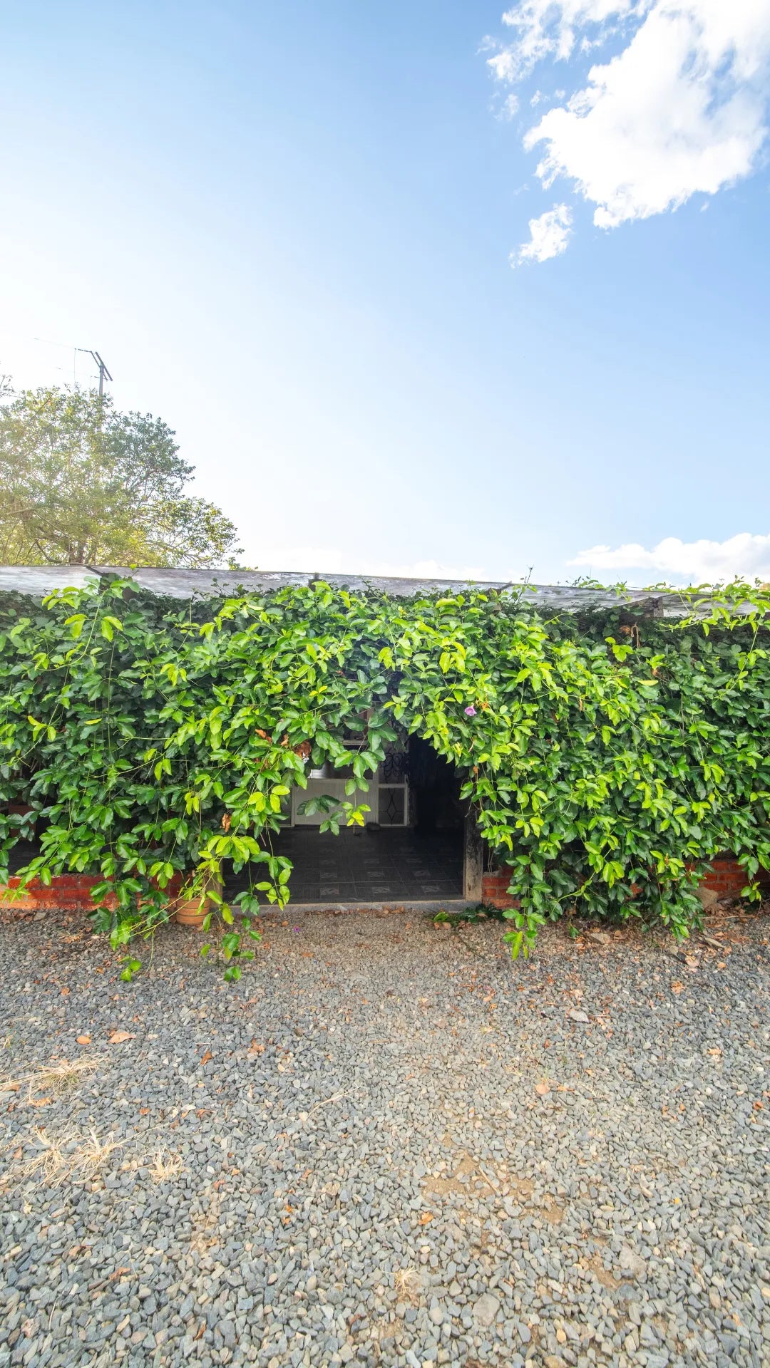 Cabaña Home Suite